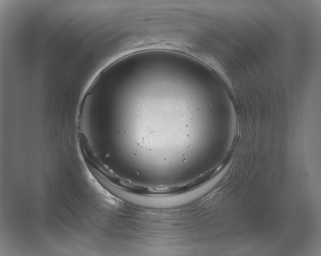 X0000070171532200605261143