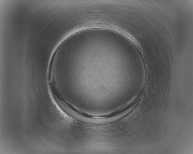 X0000070171536200605261143