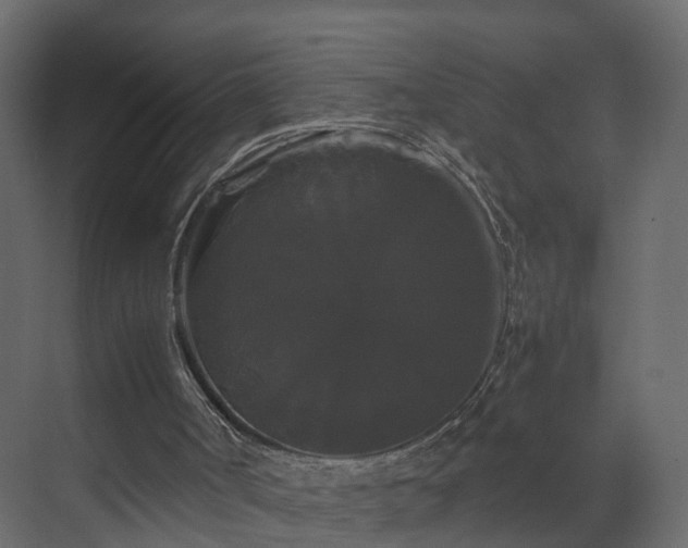 X0000070170002200605301337