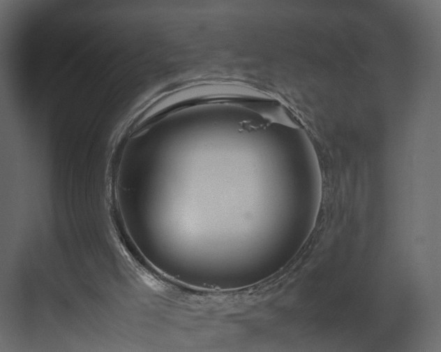 X0000070170005200605301337