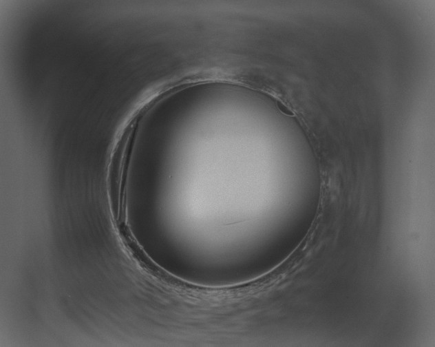 X0000070170006200605301337