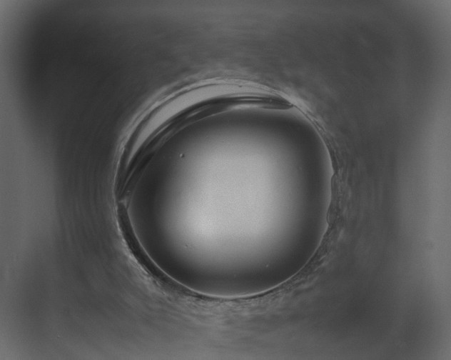 X0000070170007200605301337