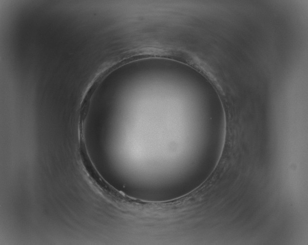 X0000070170011200605301337