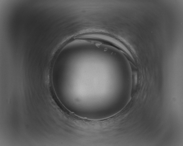 X0000070170015200605301337