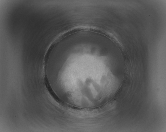 X0000070170016200605301337