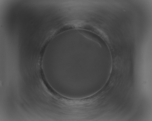 X0000070170018200605301337