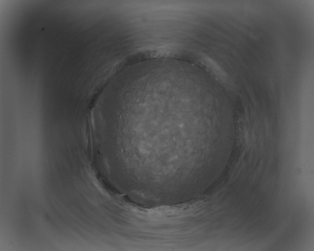 X0000070170022200605301337