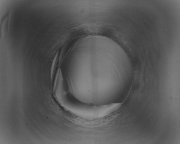 X0000070170027200605301337