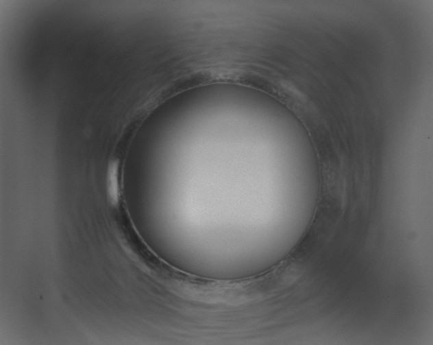 X0000070170028200605301337
