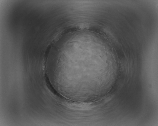 X0000070170032200605301337