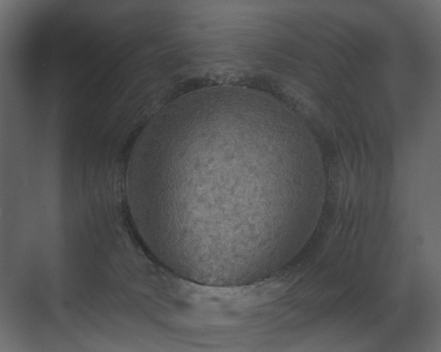 X0000070170034200605301337