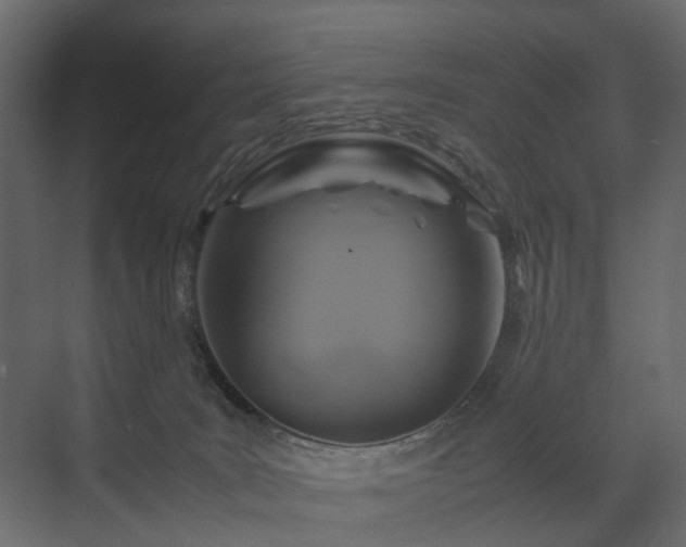 X0000070170035200605301337
