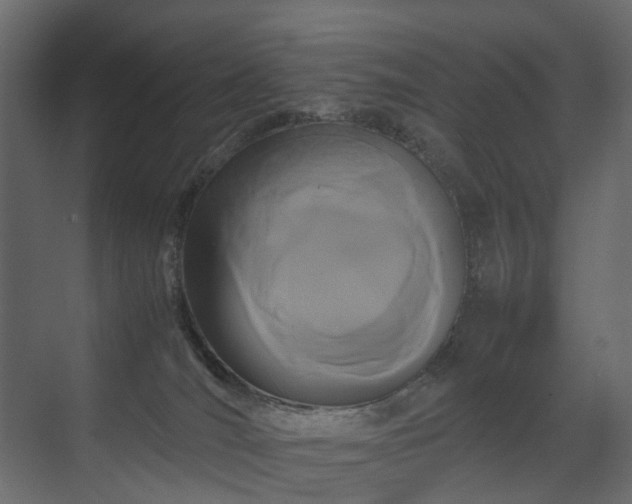 X0000070170036200605301337