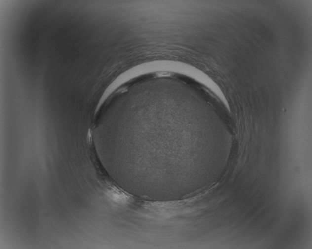 X0000070170041200605301337