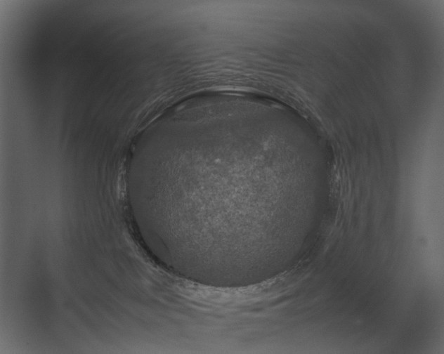 X0000070170043200605301337