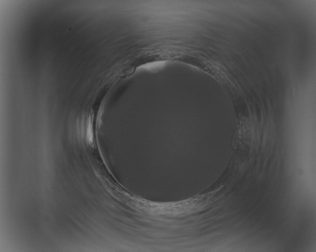 X0000070170046200605301337