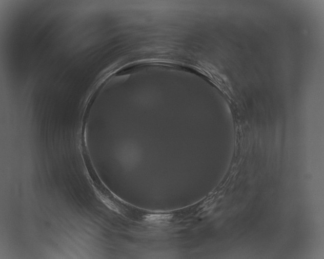 X0000070170051200605301336