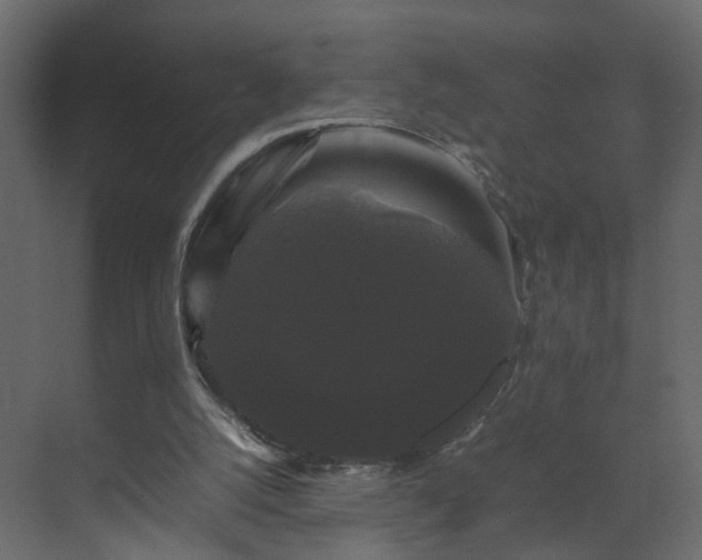X0000070170056200605301336