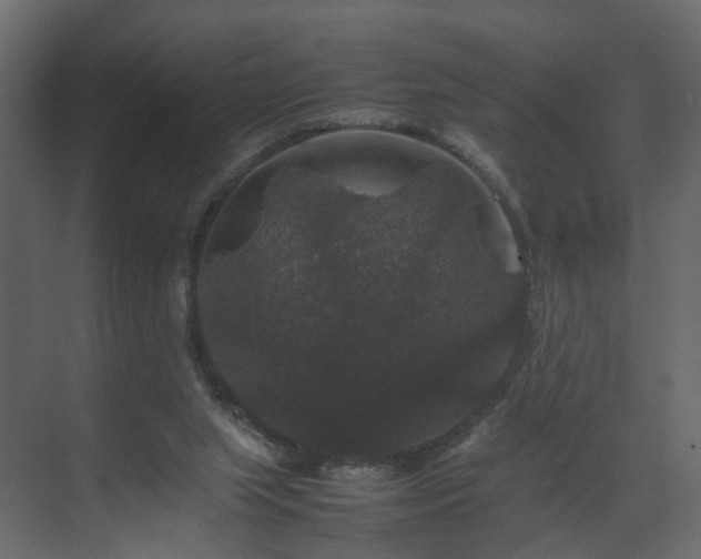 X0000070170063200605301336