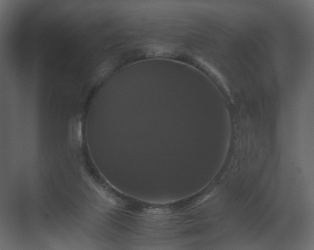 X0000070170067200605301336