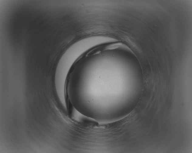 X0000070170070200605301336