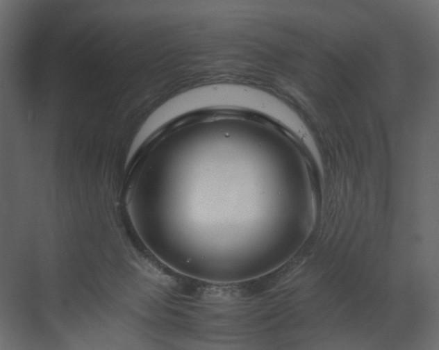 X0000070170077200605301336