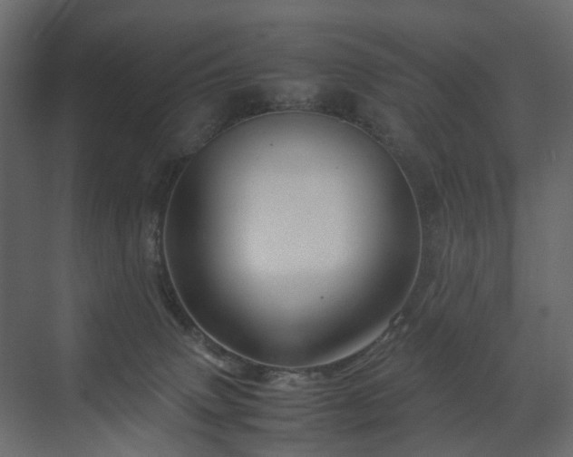 X0000070170083200605301336