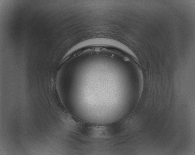 X0000070170085200605301336