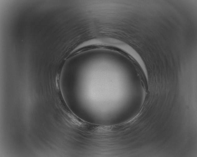 X0000070170094200605301336