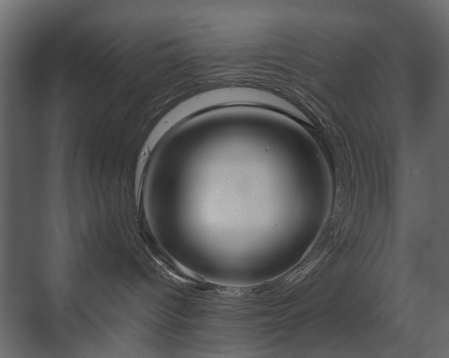 X0000070170096200605301336