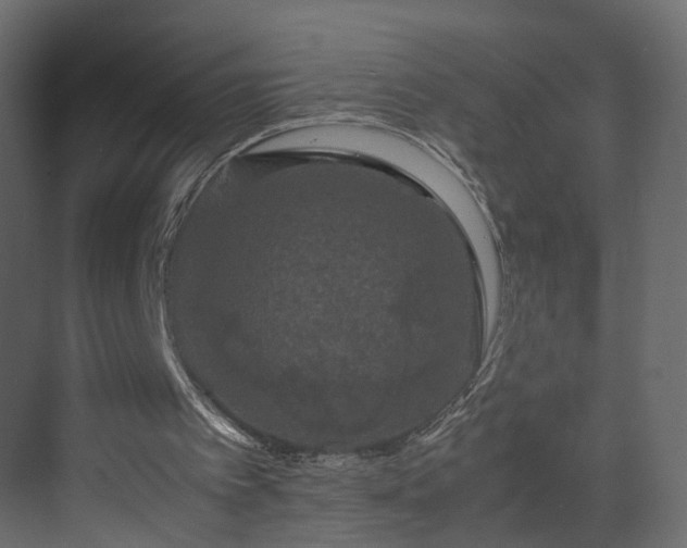 X0000070170097200605301336