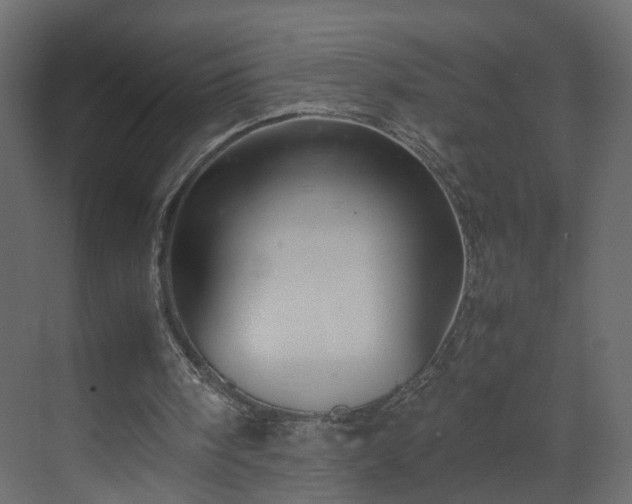 X0000070170098200605301336