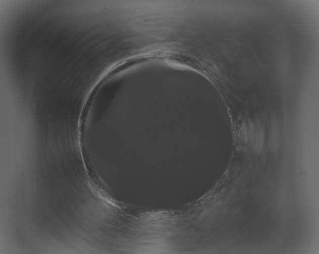 X0000070170100200605301336
