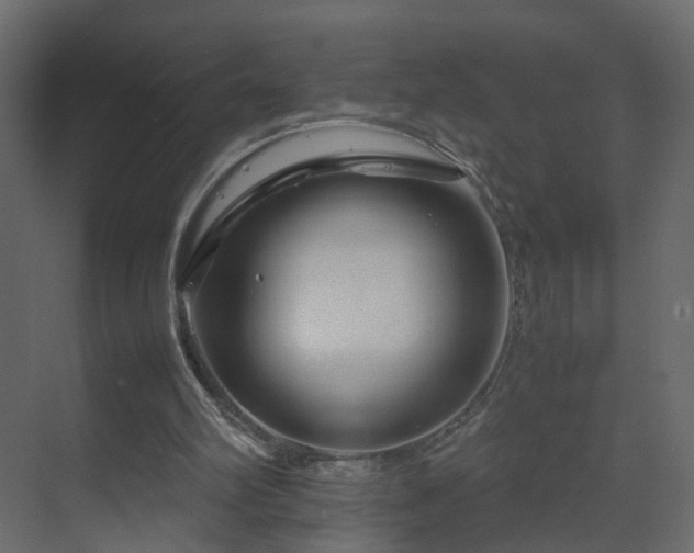 X0000070170102200605301336