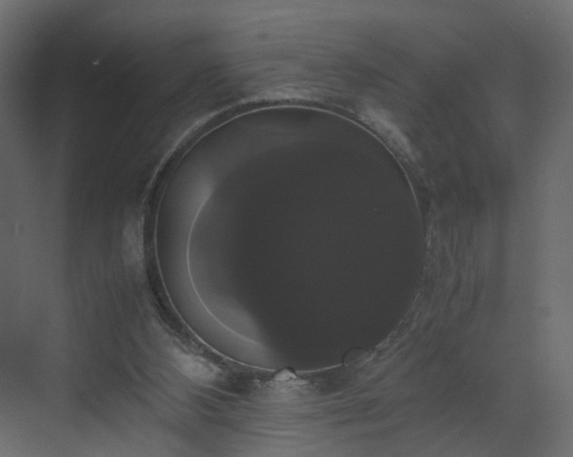 X0000070170108200605301335