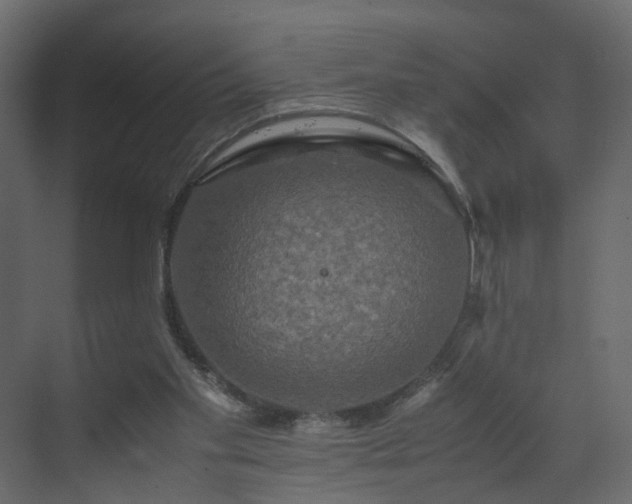 X0000070170109200605301335