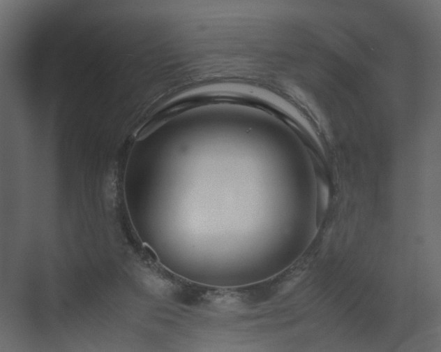 X0000070170113200605301335