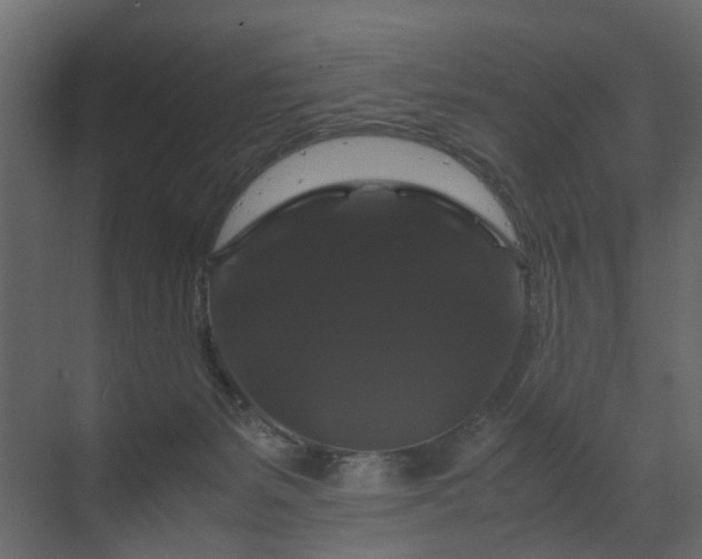 X0000070170127200605301335
