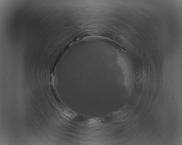 X0000070170130200605301335