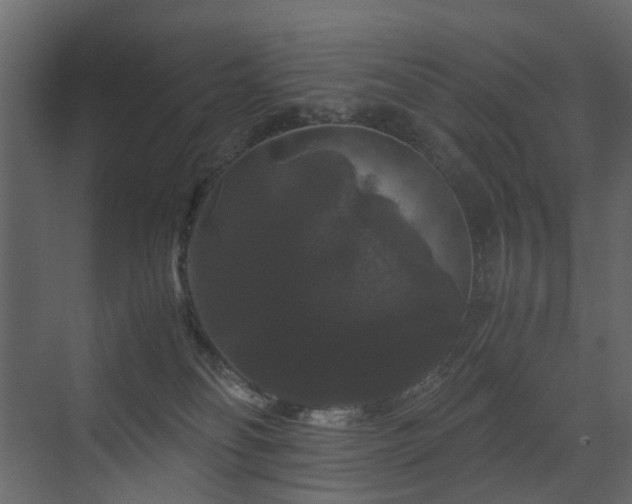 X0000070170134200605301335