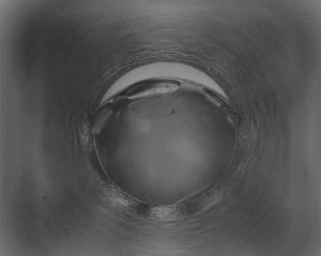 X0000070170139200605301335