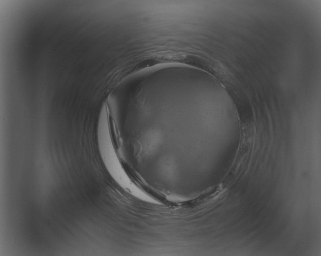 X0000070170143200605301335