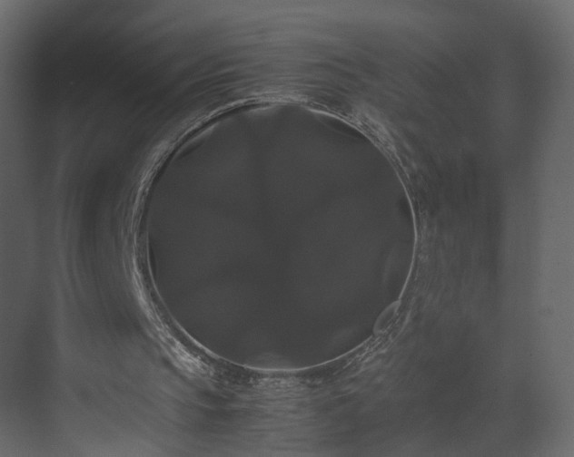 X0000070170145200605301334