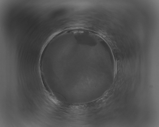 X0000070170147200605301334