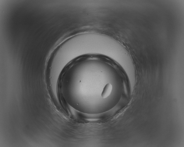 X0000070170150200605301334