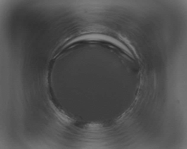 X0000070170154200605301334
