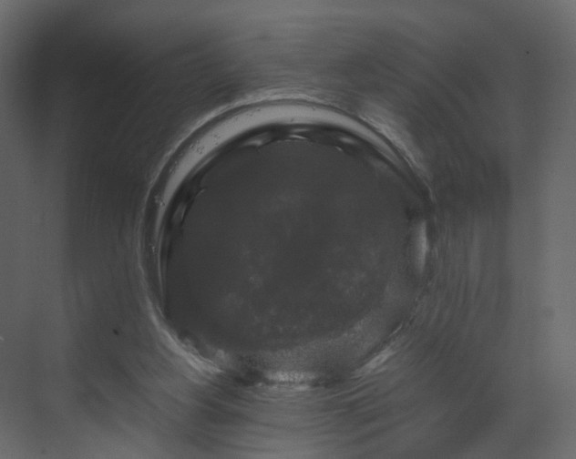X0000070170156200605301334