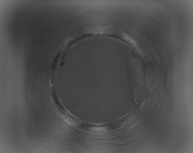 X0000070170161200605301334