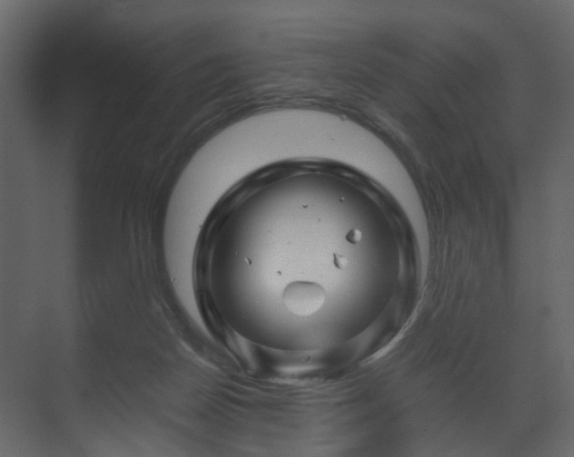 X0000070170170200605301335