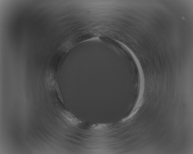 X0000070170186200605301335